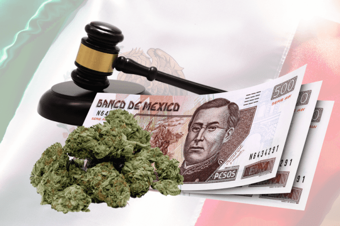 Legal Weed in Mexico by 2023? Everything You Need to Know