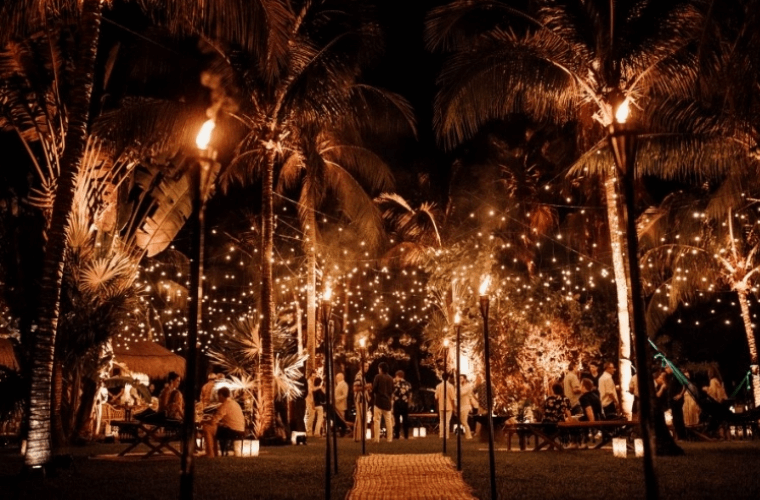 the Palm Garden at Hotel Esencia 