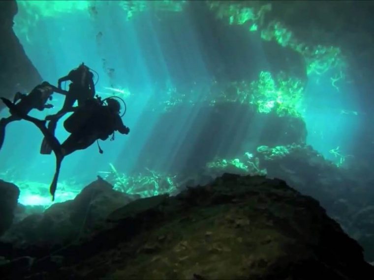 People swimming in cenote in Playa del Carmen