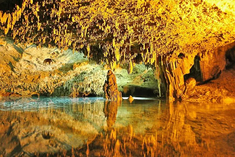 An underground cenote in the Riviera Maya, Mexico