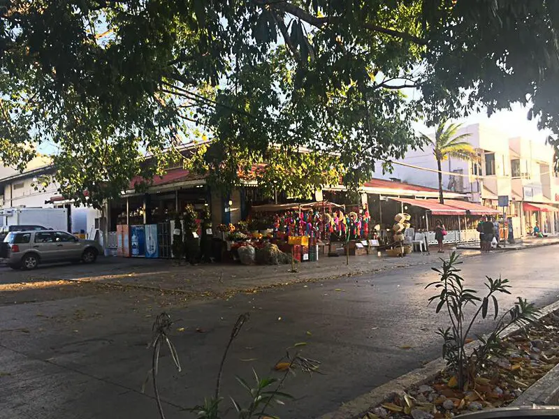 Farmer's Market at DAC in Playa del Carmen