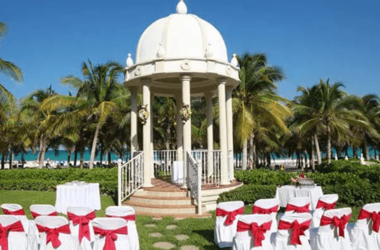 garden wedding venue with palm trees in the background 