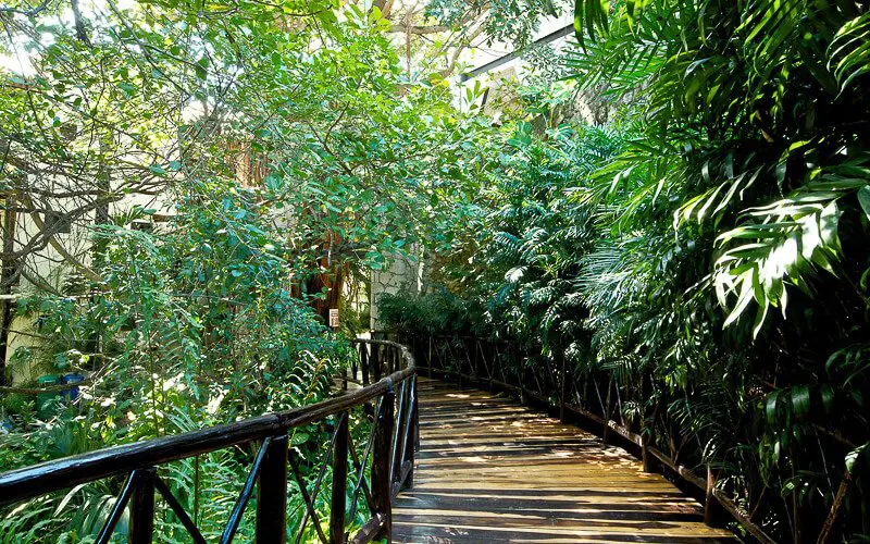 Reef Playacar walkway