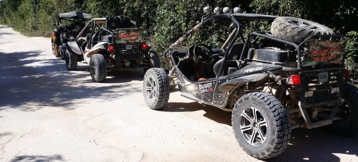 Dune Buggy Jungle Adventure Review