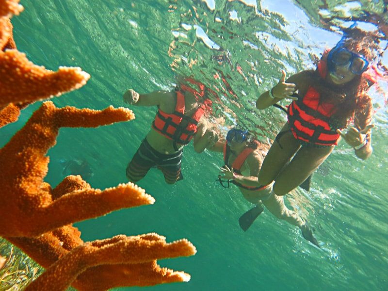 Snorkelers observing a coral formation in the Caribbean Sea