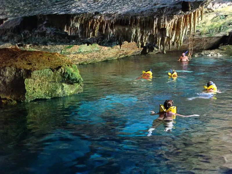 Playa del Carmen Cenote snorkel tour