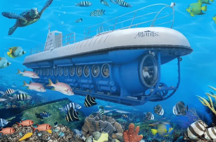 Atlantis submarine in Cozumel surrounded by marine wildlife 