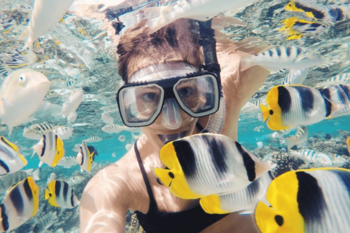 10 Best Snorkel Sites in and Around Playa del Carmen