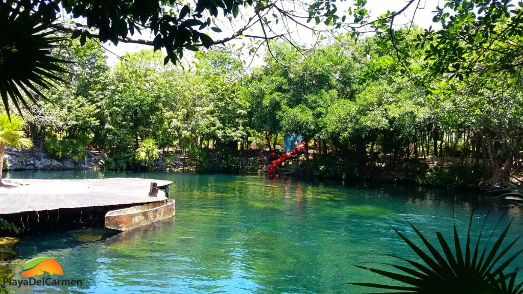 sandos caracol cenote for swimming and snorkeling
