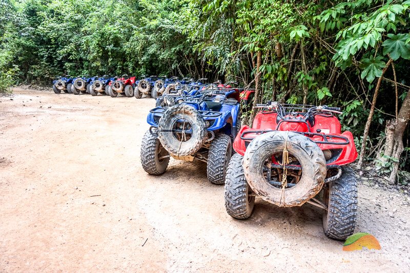 Dune buggy at selvatica, cancun