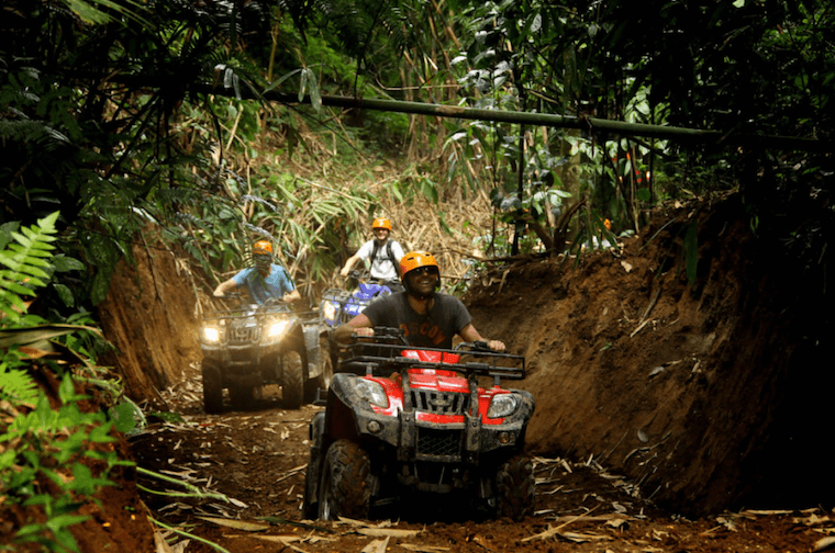 Selvatica ATV