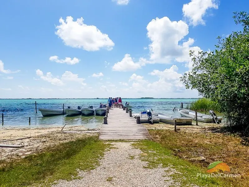 Freshwater lagoon, Muyil, in the Sian Kaan Biosphere