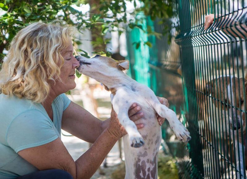 SOS el Arca dog shelter in Playa del Carmen