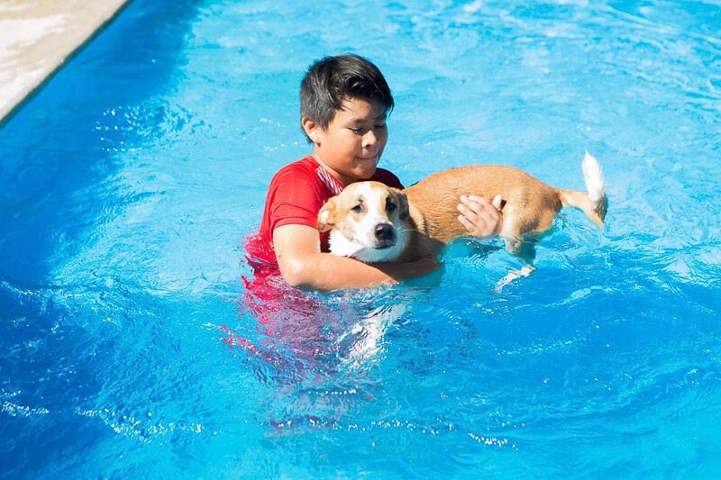 Boy plays with dog in pool at S.O.S. El Arca Playa del Carmen