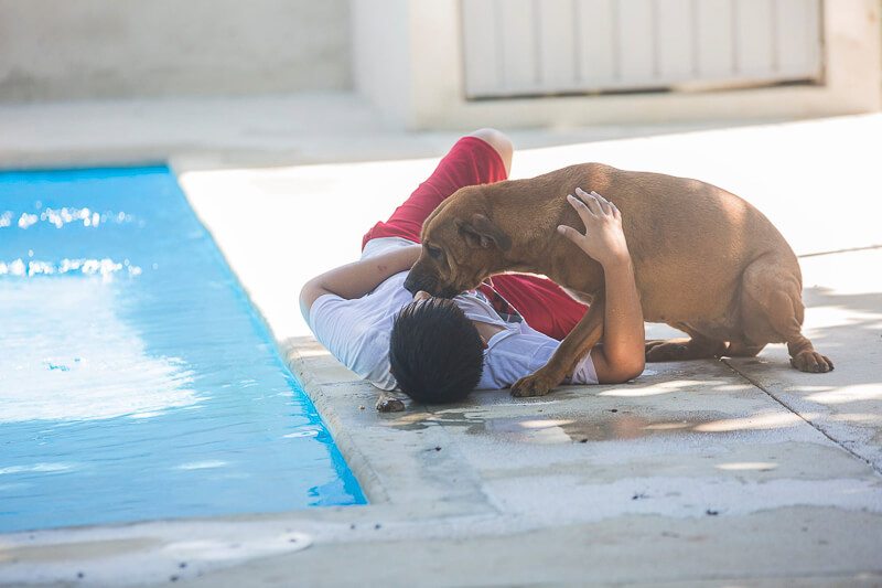 Boy plays with dog next to pool at S.O.S. dog shelter Playa del Carmen