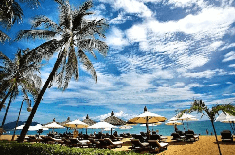 the beach with palm trees and umbrellas in Isla Mujeres 