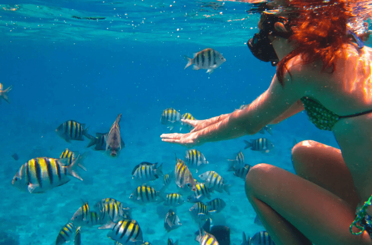 a woman snorkeling and getting close to fish in Akumal
