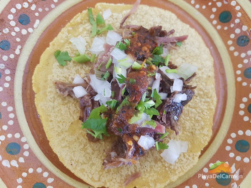 The Best Damn Playa del Carmen Taco Guide Ever | Playa Blog