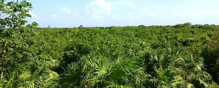 Riviera Maya