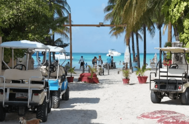 Isla Mujeres beach and palm trees