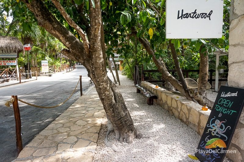 Hartwood Tulum