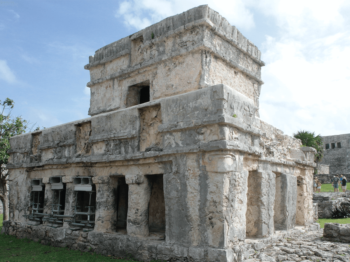 My Honest Review of the 'Tulum, Cenotes, & Turtle Explorer Tour'
