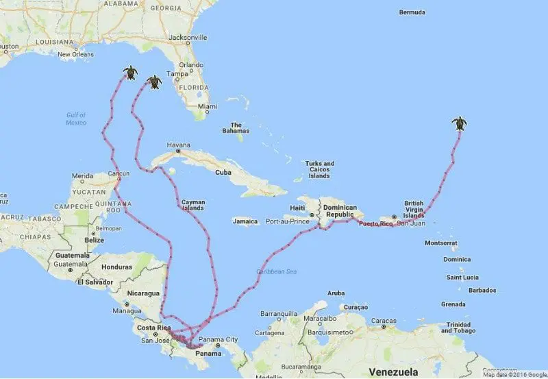 Xcacel map sea turtle route
