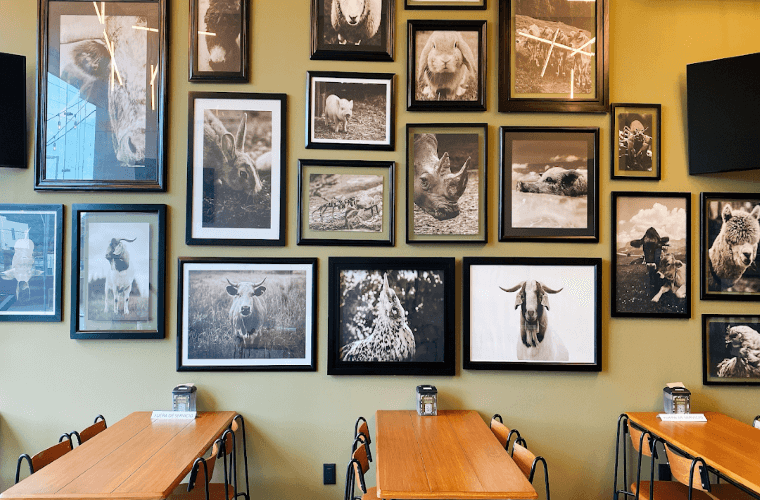 three tables with chairs at Herbivoro with various animal portraits on the wall behind