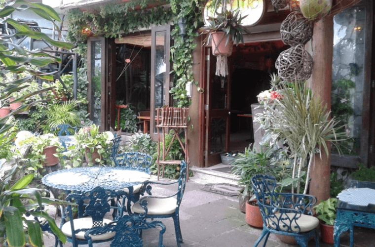 the outside seating area at Natura with tables and chairs and greenery