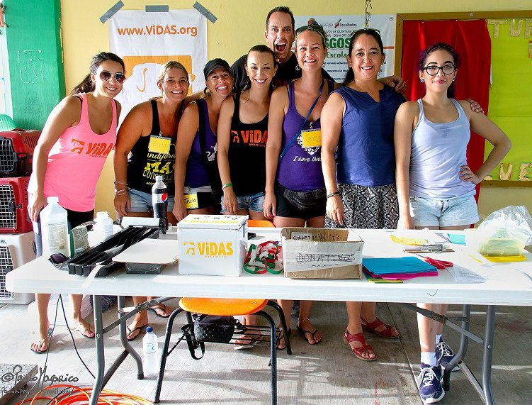 Volunteers at ViDAS 