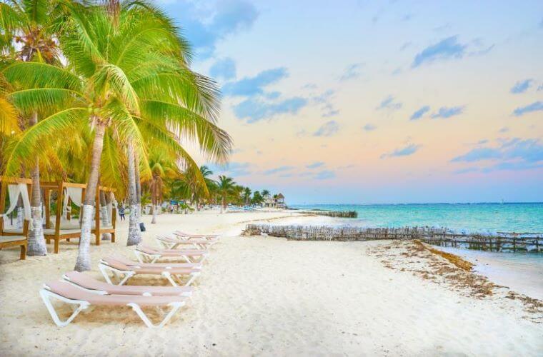 white sand beach with loungers and palm trees