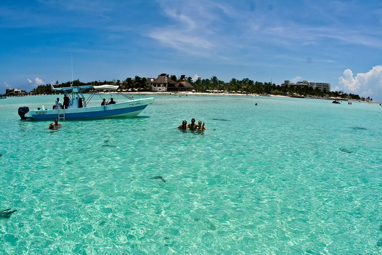 whale shark tour isla mujeres