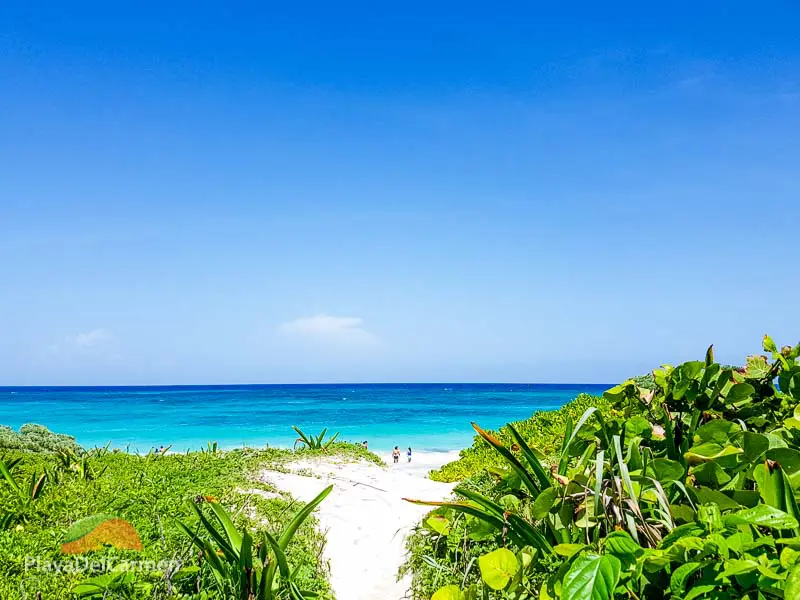 Xcacel beach in Playa del Carmen