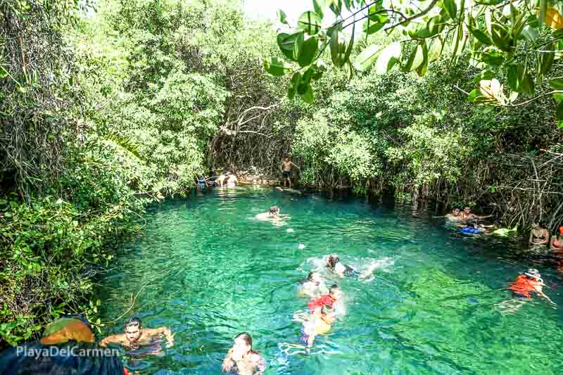 People swimming in Cenote Xcacelito in Playa del Carmen