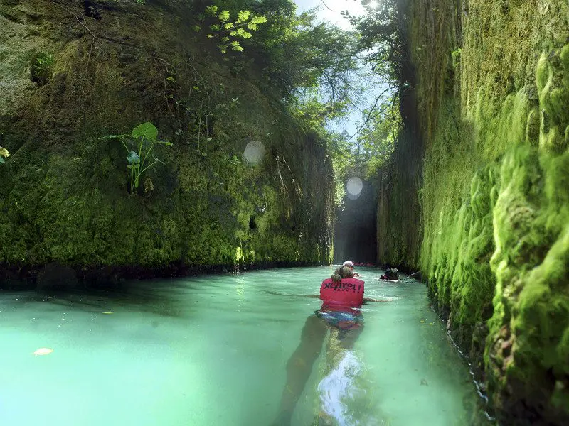 People swimming in xcaret rivera, mexico