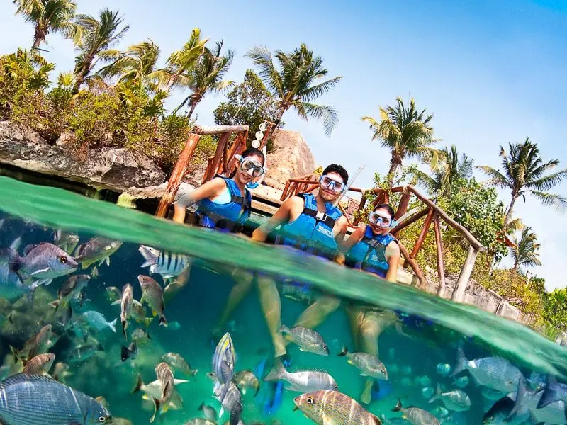 Xel Ha Tour Your Complete Guide To Activities Prices