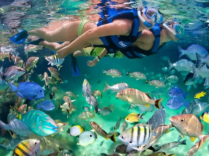 Riviera Maya snorkeling