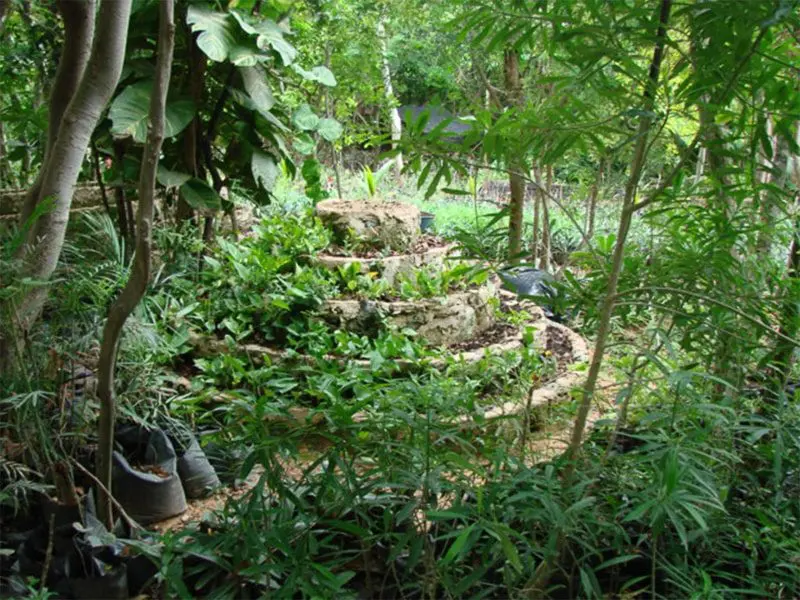 Xel Ha Tour Your Complete Guide To Activities Prices