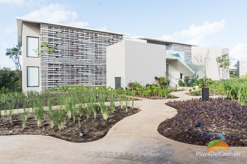 Andaz Mayakoba resort