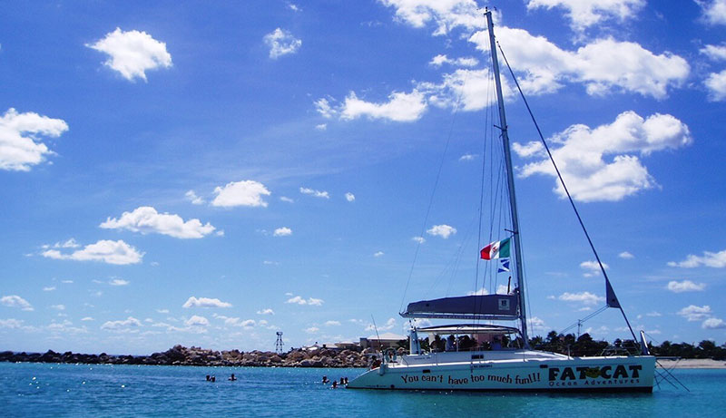 fat cat catamaran playa del carmen