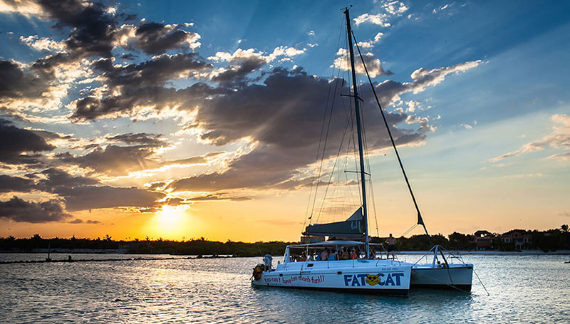 fat cat catamaran tours playa del carmen