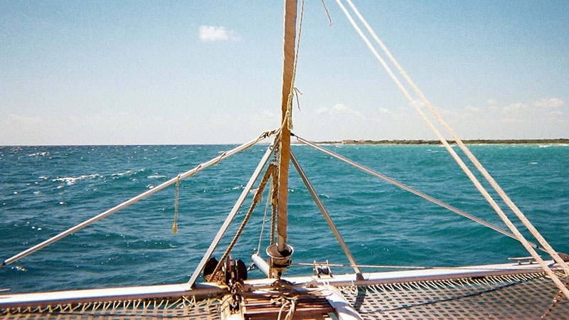 fat cat catamaran playa del carmen