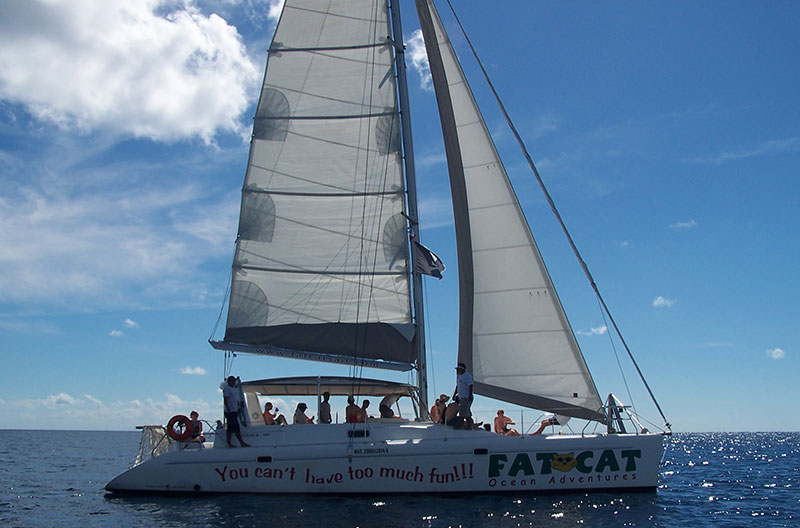 fat cat catamaran playa del carmen