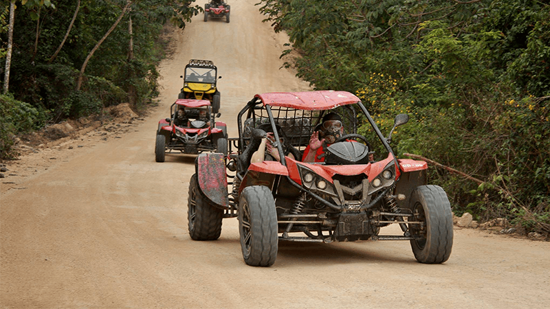 jungle buggy ride