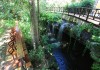 The Reef Playacar Cenote