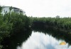 Andaz Mayakoba mangrove channels