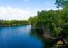 Mayakoba mangrove channels